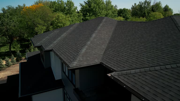 Best 4 Ply Roofing  in USA